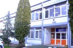 zsjagodina1v